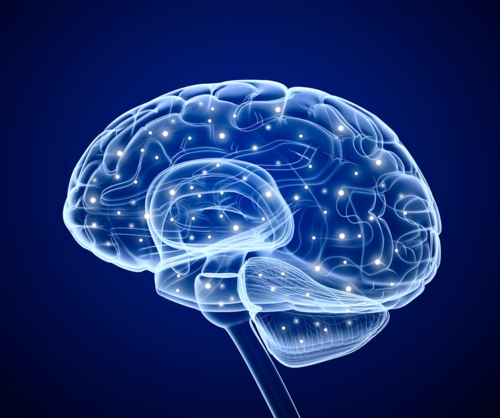 A blue graphic of a brain